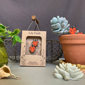 Ladybird Plant Pot Friends