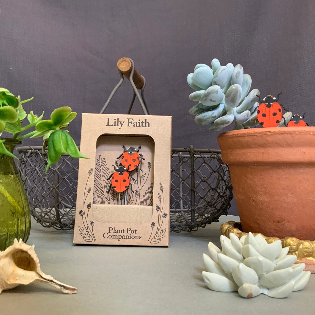 Ladybird Plant Pot Friends