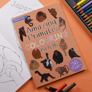 Amazing Primates Colouring Book