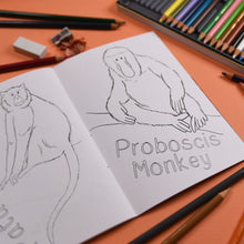 Amazing Primates Colouring Book