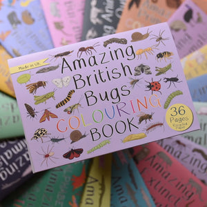 Amazing British Bugs Colouring Book