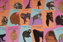 Amazing Primates Fact Cards