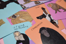 Amazing Primates Fact Cards