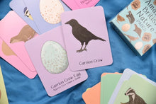 Amazing British Nature Pairs Card Game