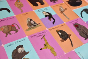 Amazing Primates Fact Cards