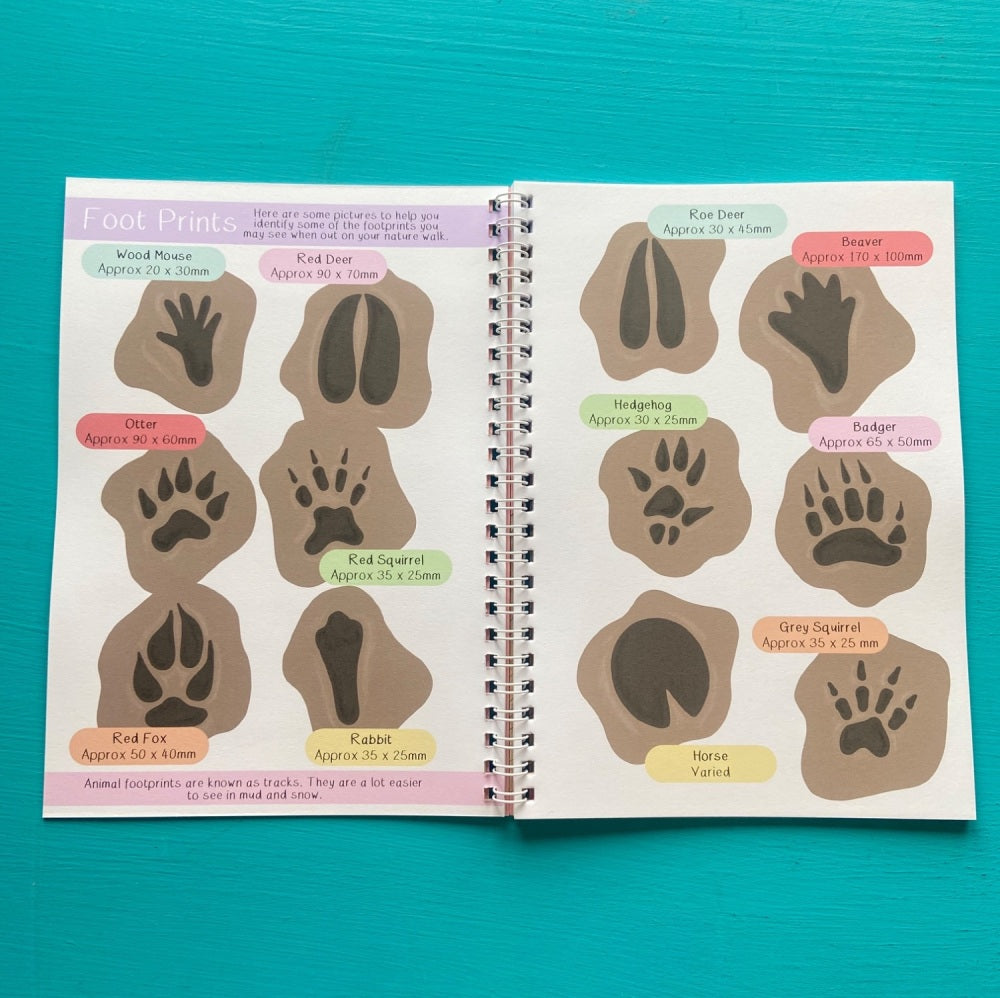 British Wildlife Nature Walk Fact And Activity Book