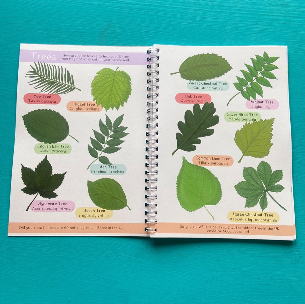 British Wildlife Nature Walk Fact And Activity Book
