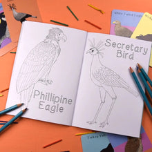 Amazing Birds Of Prey Colouring Book