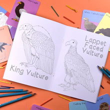 Amazing Birds Of Prey Colouring Book