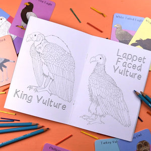 Amazing Birds Of Prey Colouring Book