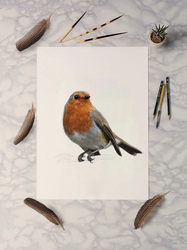 Robin A4 Print