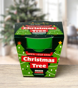 Grow Your Own Christmas Tree