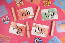 Alphabet Of Amazing Dinosaurs Flash Cards
