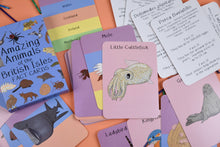 Amazing Animals Of The British Isles Fact Cards
