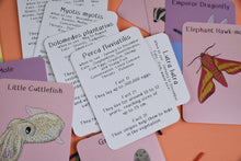 Amazing Animals Of The British Isles Fact Cards