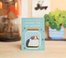 Guinea Pig Of Wisdom Pin Badge