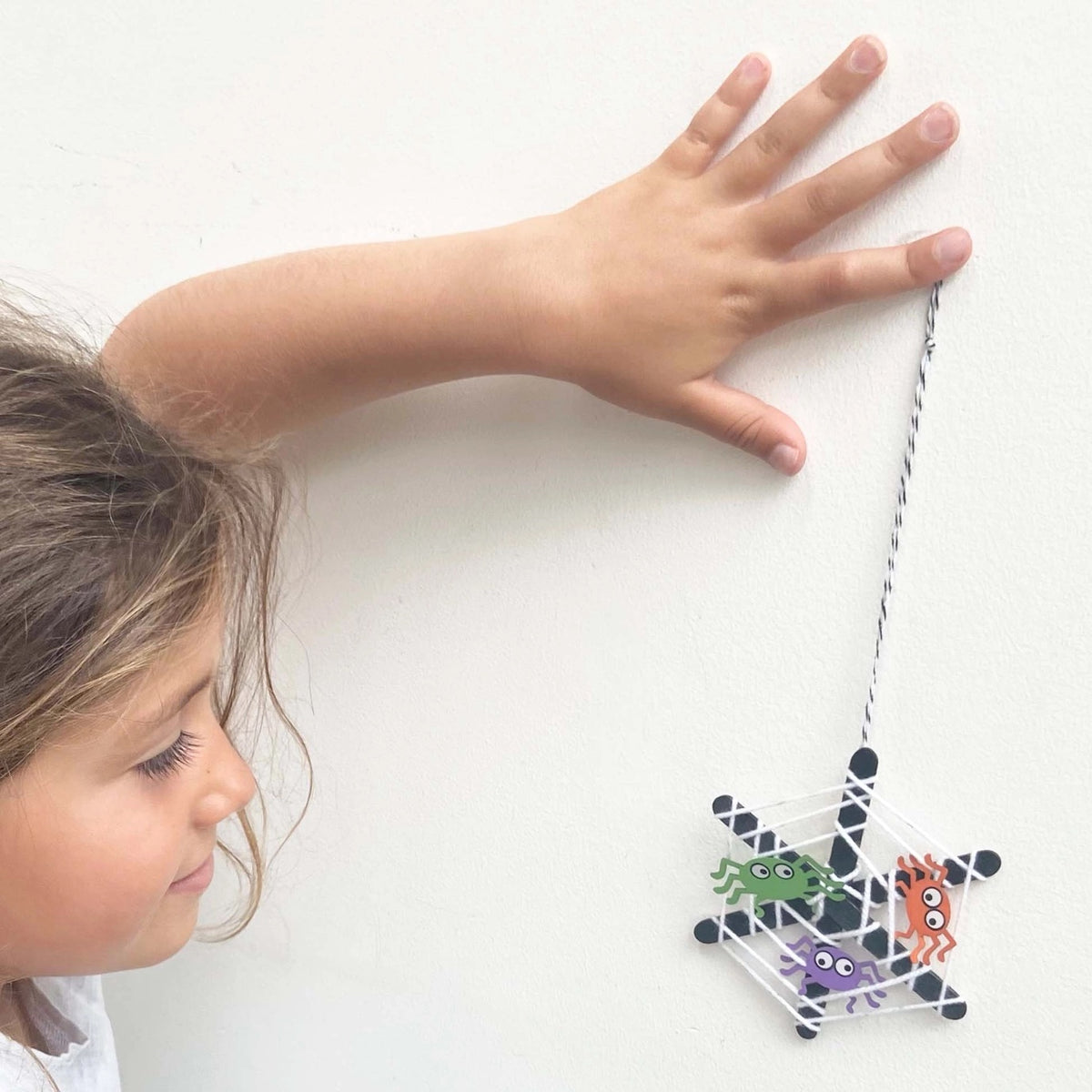 Make Your Own Spider's Web Kit