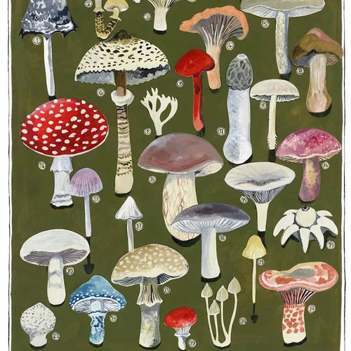 Mushrooms Greeting Card