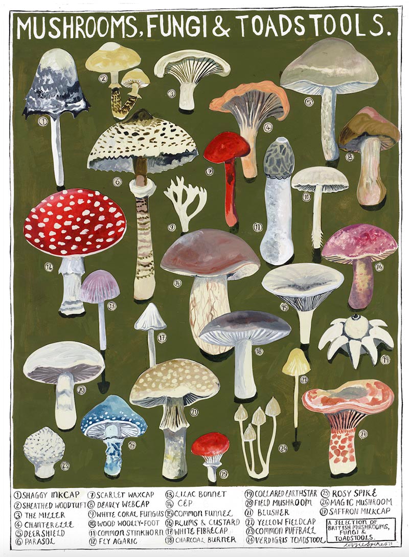 Mushrooms Greeting Card