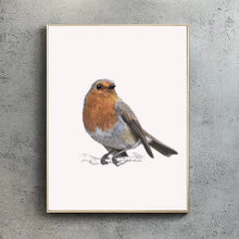 Robin A4 Print