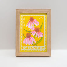 A5 Echinacea Print