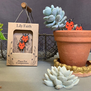 Ladybird Plant Pot Friends