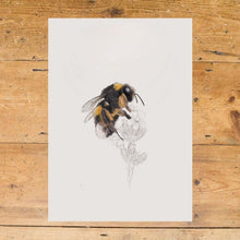 Bumblebee A4 Print