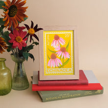 A5 Echinacea Print