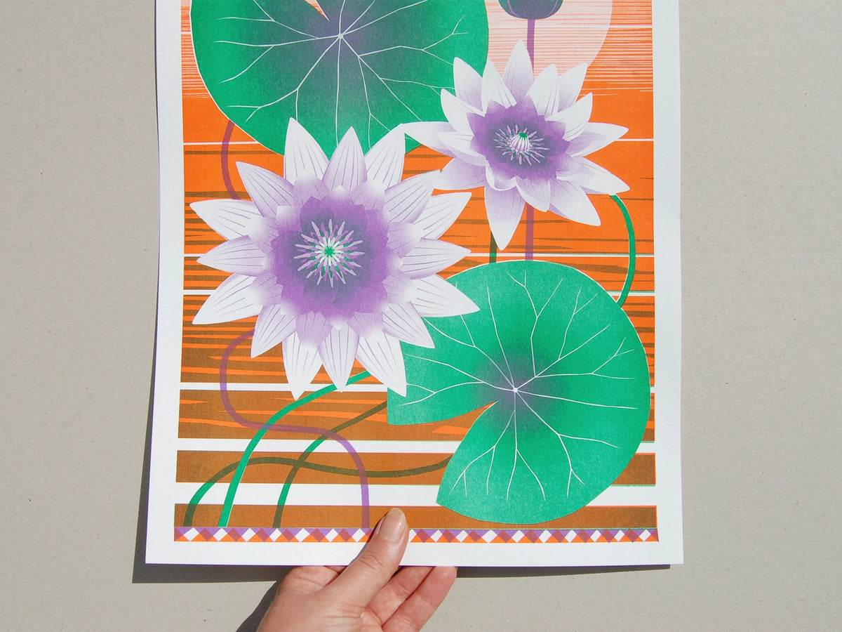 A3 Water Lily Print