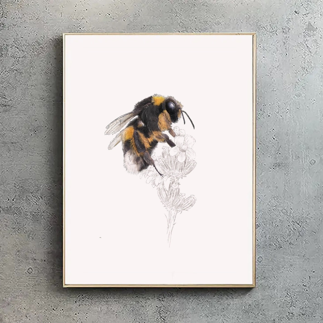 Bumblebee A4 Print