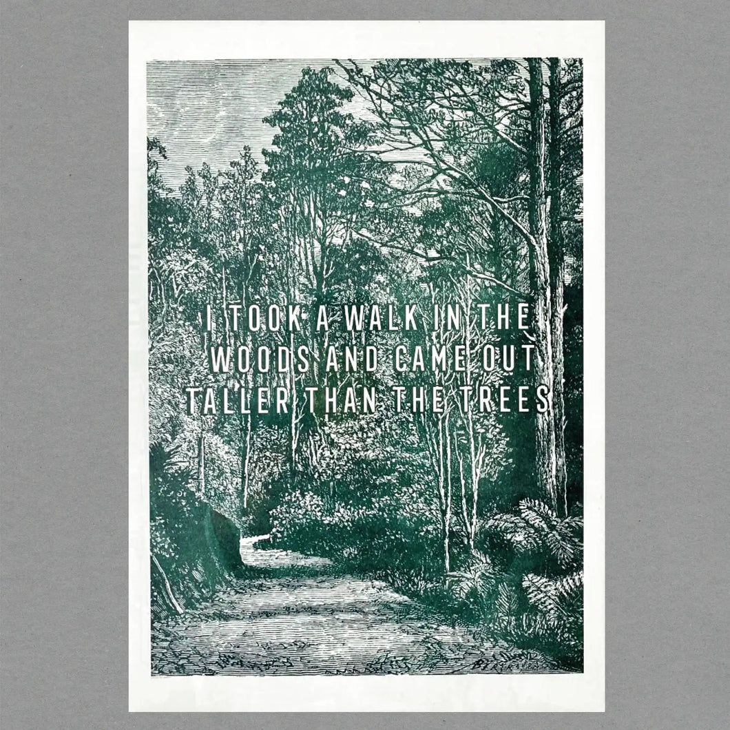 Walk In The Wood A3 Print