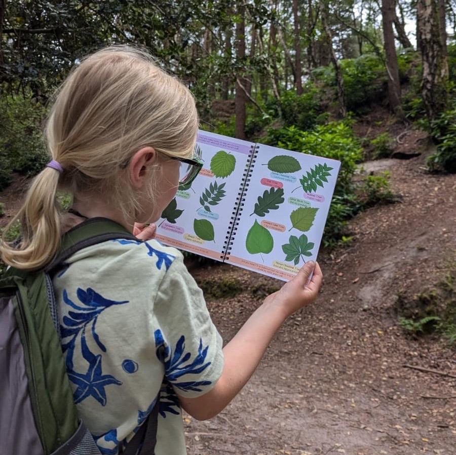 British Wildlife Nature Walk Fact And Activity Book