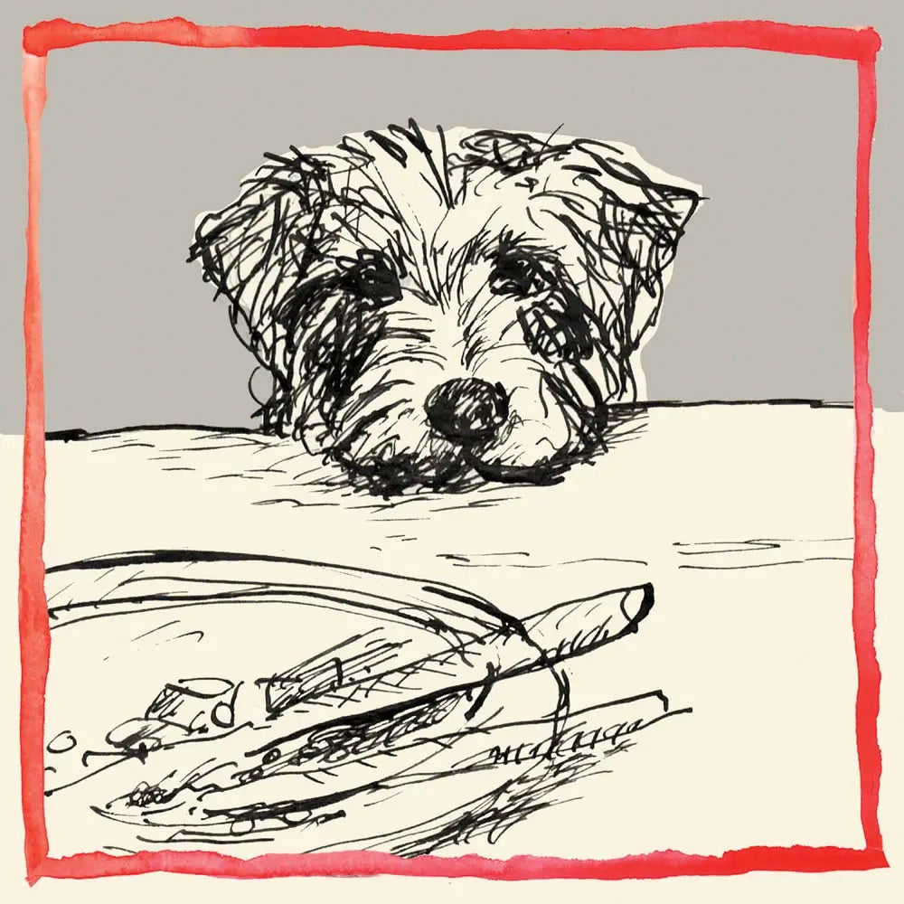 Dog With Plate Greeting Card