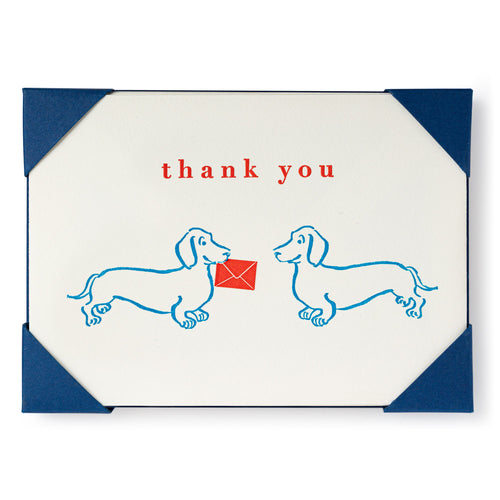 Dachshund Thank You, Pack of 5 Cards
