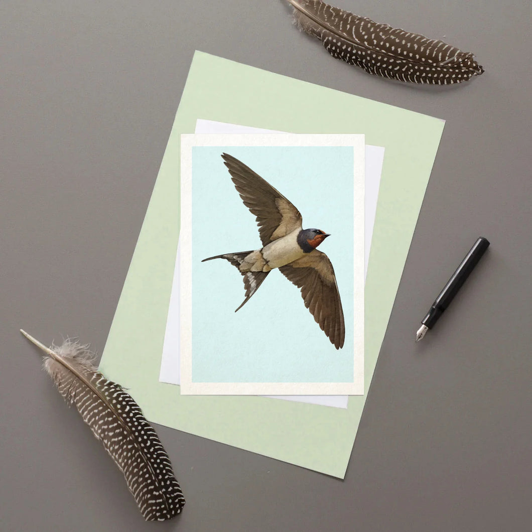 Swallow Greeting Card