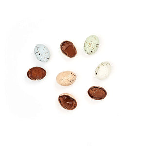 12 Chocolate Blue Tit Eggs