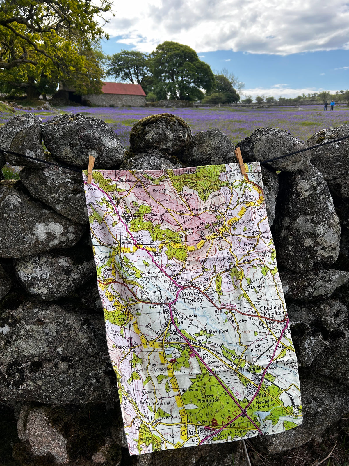 A map tea towel of Bovey Tracey, hanging from two wooden clothes pegs on a line stretched across a rustic stone wall, with a bluebell field and trees in the background.