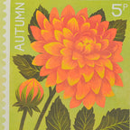 Close up of Dahlia risograph print in shades of orange and green. 