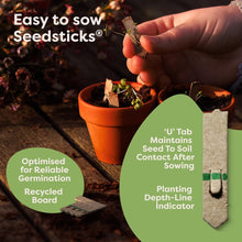 A hand holds a Seedstick sowing stick over small potted plants on a wooden surface. The image includes marketing text highlighting features such as 'Easy to sow Seedsticks', 'U' tab maintains seed to soil contact after sowing', and 'Planting Depth-Line Indicator'.