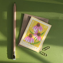 A botanical art print card featuring three pink echinacea flowers on a yellow background, placed on a brown envelope. The card is styled in a flat-lay composition on a green surface alongside a wooden pencil and two paperclips.