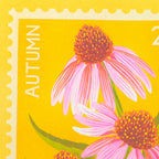Close up of illustration of Echinacea fkowers in pink and green against a yellow background. 
