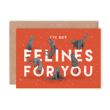 Greeting card with cartoon cats and text 'I've got felines for you' on an orange-red background.