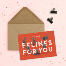 Greeting card with cats and 'I've got felines for you' text on a red background, with a kraft envelope.