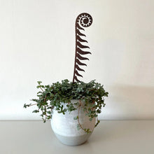Fern Pot Stem