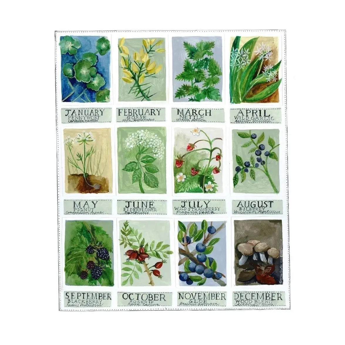 Greeting card featuring calendar with different plants and flowers to forage for each month.