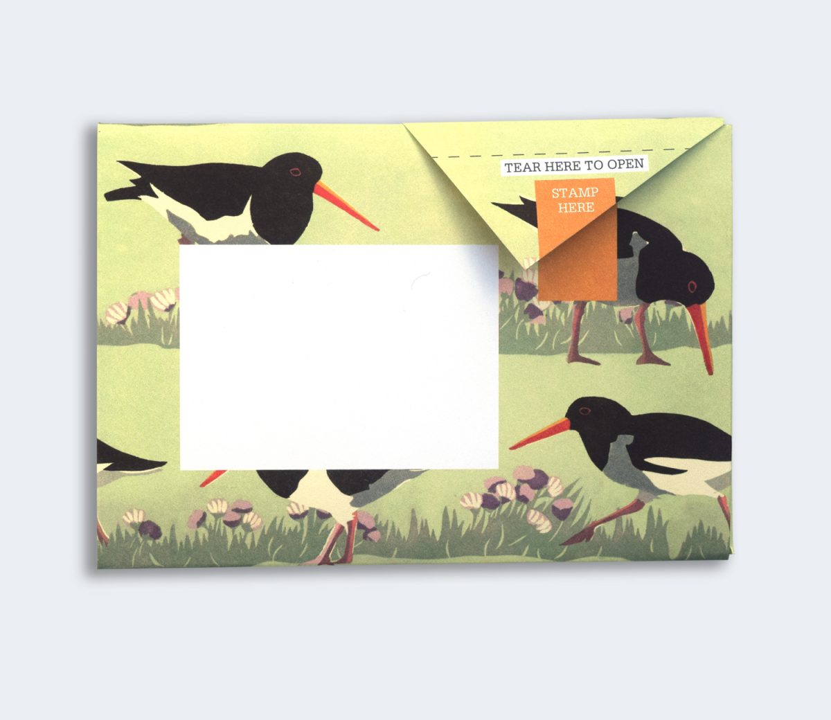 Hebridean Pigeon Pack