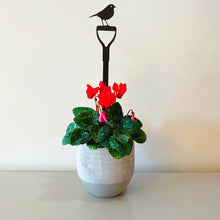 Robin On A Fork Pot Stem