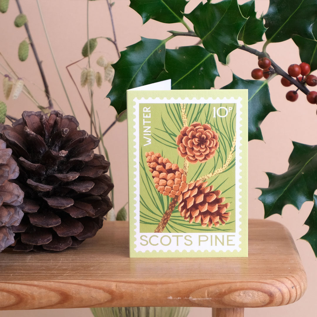A greeting card featuring a vintage-style winter pine illustration with pinecones and the text 'WINTER' and 'SCOTS PINE', standing on a wooden surface with pinecones and holly leaves around it.