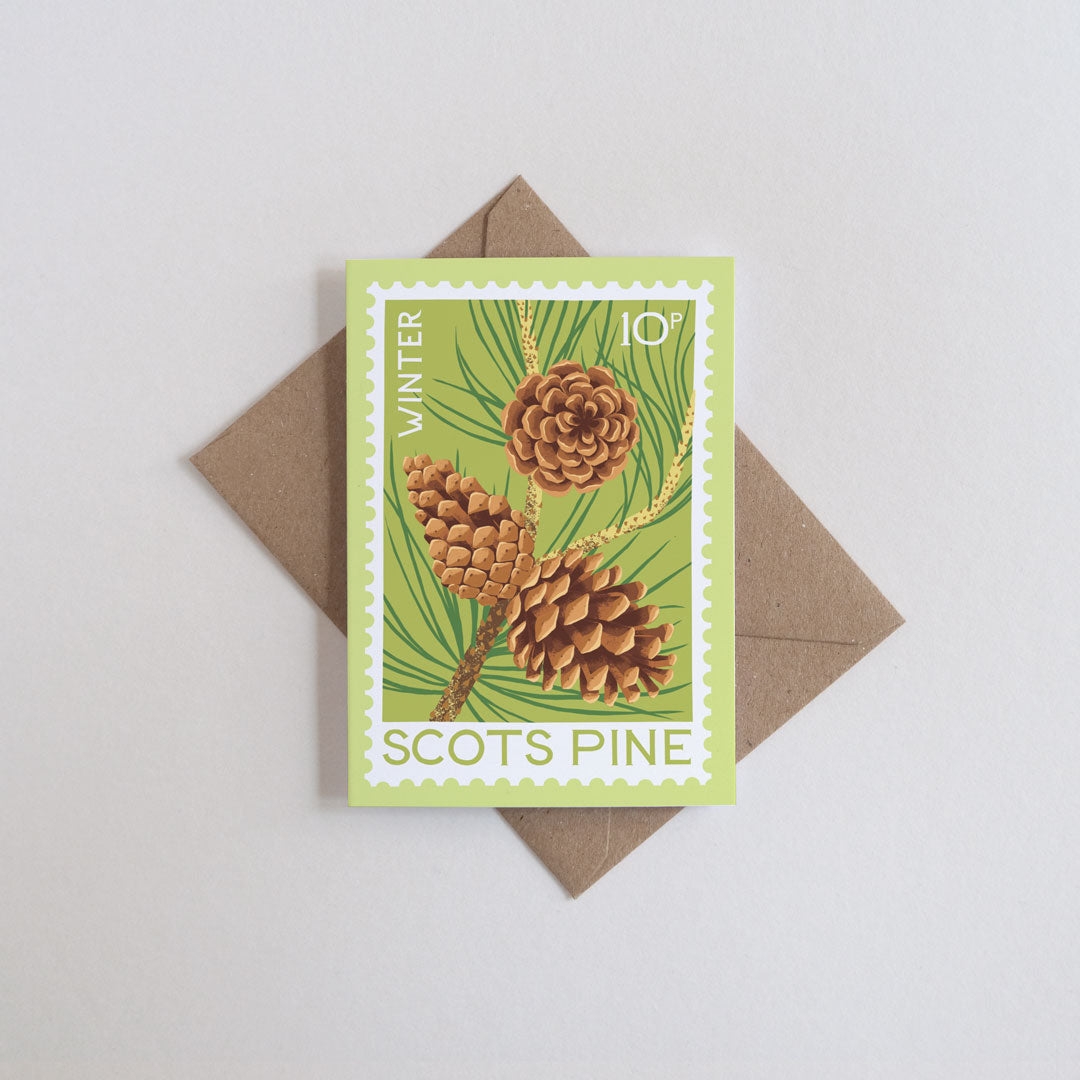A rectangular greeting card with a winter pine illustration, placed on top of a brown envelope against a light gray background. The card reads 'WINTER SCOTS PINE' and shows pinecones on a green and yellow-green background.