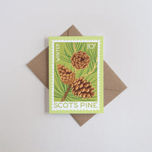 A rectangular greeting card with a winter pine illustration, placed on top of a brown envelope against a light gray background. The card reads 'WINTER SCOTS PINE' and shows pinecones on a green and yellow-green background.